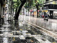 [ẢNH] Hà Nội: Mưa lớn, nhiều cây xanh bật gốc