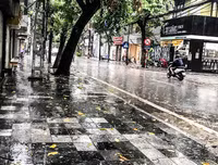 [ẢNH] Hà Nội: Mưa lớn, nhiều cây xanh bật gốc