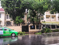 [ẢNH] Hà Nội: Mưa lớn, nhiều cây xanh bật gốc