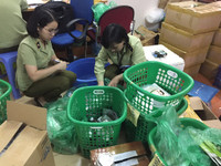 Cận cảnh gần 1.600 sản phẩm đông dược không rõ nguồn gốc