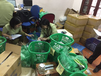 Cận cảnh gần 1.600 sản phẩm đông dược không rõ nguồn gốc