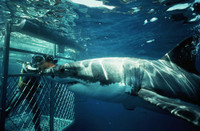 Trải nghiệm những điểm du lịch mạo hiểm nhất thế giới