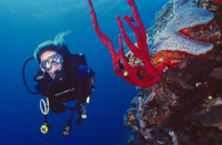 Trải nghiệm những điểm du lịch mạo hiểm nhất thế giới