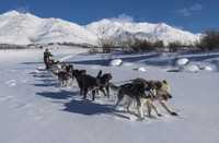 Trải nghiệm những điểm du lịch mạo hiểm nhất thế giới