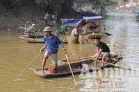 Hà Nội: Cả làng xuống sông đánh dậm
