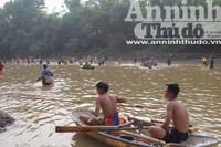 Hà Nội: Cả làng xuống sông đánh dậm