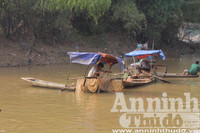 Hà Nội: Cả làng xuống sông đánh dậm