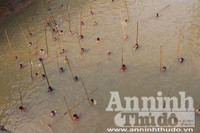 Hà Nội: Cả làng xuống sông đánh dậm