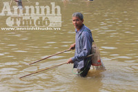 Hà Nội: Cả làng xuống sông đánh dậm