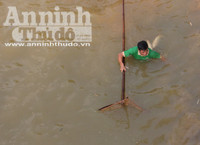 Hà Nội: Cả làng xuống sông đánh dậm