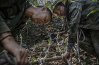 [ẢNH] Nghề không dành cho những người yếu tim: Lấy mật ong rừng ở Trung Quốc