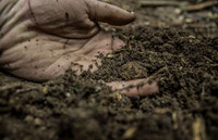 [ẢNH] 20 căn bệnh hiếm gặp nhất thế giới