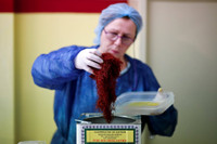 [ẢNH] Khám phá việc thu hoạch Saffron – 