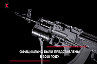 [ẢNH] AK-203 có gì khiến Ấn Độ vứt bỏ niềm tự hào, ngay cả với súng trường INSAS