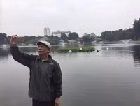 Ngắm đàn thiên nga tại 'nhà mới'- hồ Thiền Quang