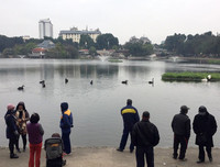 Ngắm đàn thiên nga tại 'nhà mới'- hồ Thiền Quang