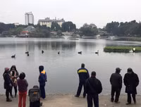 Ngắm đàn thiên nga tại 'nhà mới'- hồ Thiền Quang