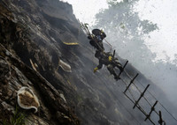 [ẢNH] Nghề không dành cho những người yếu tim: Lấy mật ong rừng ở Trung Quốc