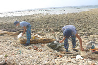 Bảo vệ đảo, giữ sạch biển ở Trường Sa