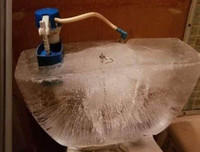 [ẢNH] Tóc người dựng đứng, toilet vỡ tung trong giá rét -41 độ C tại Mỹ