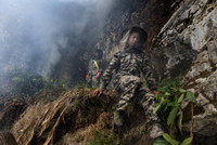 [ẢNH] Nghề không dành cho những người yếu tim: Lấy mật ong rừng ở Trung Quốc