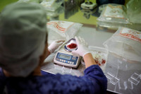 [ẢNH] Khám phá việc thu hoạch Saffron – 