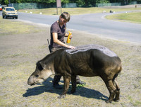 [ẢNH] Nắng nóng khủng khiếp 