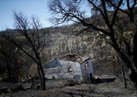 [ẢNH] Không riêng gì Việt Nam, các nước châu Âu cũng khô quắt với nắng nóng hè này