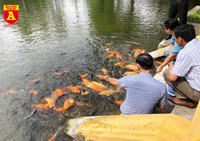 Thăm khu di tích nhà sàn Bác Hồ ở Hà Nội