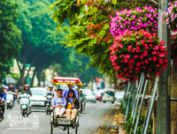 [ẢNH] Ngỡ ngàng với bản giao hưởng màu sắc của các loài hoa bên hồ Gươm