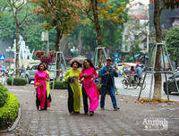 [ẢNH] Ngỡ ngàng với bản giao hưởng màu sắc của các loài hoa bên hồ Gươm