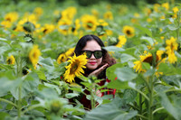 Hơn 2.000 mét vuông hoa hướng dương rực rỡ Hoàng thành Thăng Long