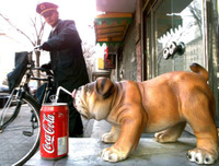 [ẢNH] Gian nan hoạt động đưa thư trên thế giới, không phải ai cũng biết