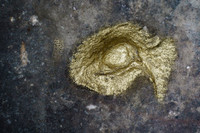 [ẢNH] 75 năm kết thúc Thế chiến II: Những vết sẹo chiến tranh tại Berlin