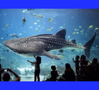 Chủ tịch Vingroup thuộc Top 50 nhân vật có ảnh hưởng nhất ngành công viên giải trí toàn cầu