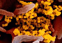 [ẢNH] Chuyên gia Đức đưa ra dự báo gây choáng về thời gian kết thúc đại dịch SARS-CoV-2