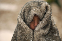 Tưởng nhớ Shah Marai, phóng viên ảnh vừa thiệt mạng tại Kabul