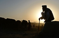 Tưởng nhớ Shah Marai, phóng viên ảnh vừa thiệt mạng tại Kabul