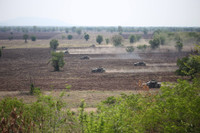 [ẢNH] Lục quân Thái Lan tập trận quy mô lớn, khoe sức mạnh xe tăng 