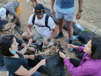 [ẢNH] Tình trạng khẩn cấp ở Mauritius sau sự cố tràn dầu