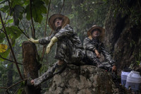 [ẢNH] Nghề không dành cho những người yếu tim: Lấy mật ong rừng ở Trung Quốc