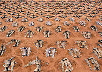 [ẢNH] 20 sự thật bất ngờ về pháo đài bay B-52, loại máy bay ném bom kinh hoàng nhất thế giới