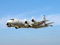 [ẢNH] ‘Sát thủ’ săn ngầm P-3C Orion Mỹ có thể nhanh chóng quần đảo tại biển Đông