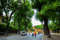 Những khoảng xanh hạ nhiệt giữa mùa hè Hà Nội