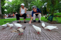 Những khoảng xanh hạ nhiệt giữa mùa hè Hà Nội