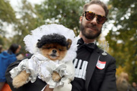 [ẢNH] Những chú chó hóa trang mùa Halloween không thể đáng yêu hơn