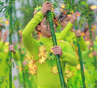 Mãn nhãn với những vũ điệu đường phố rực rỡ mở màn Carnaval Hạ Long 2019