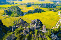 Khám phá mùa vàng tam cốc