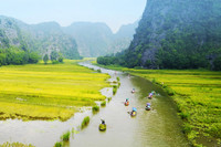 Khám phá mùa vàng tam cốc