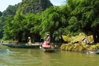 Khám phá mùa vàng tam cốc